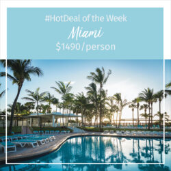 Hot Deal of the Week – Miami